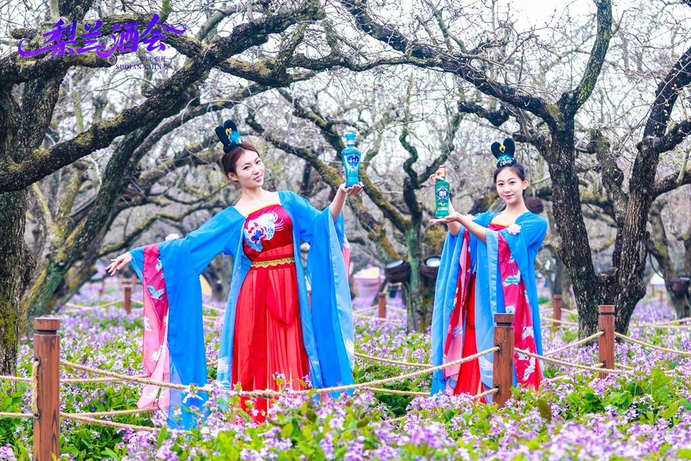 48027497.jpg 0D5A6535-opq4442623296.jpg